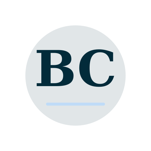 Boone Chimney Repair logo